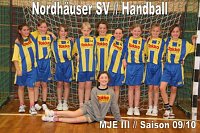 Handball-Wochenende Bild: Handball-Wochenende