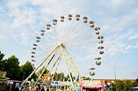 Rolandsfest der Freitag Bild: Rolandsfest der Freitag
