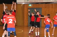 Handball-Wochenende Bild: Handball-Wochenende