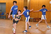 Handball-Wochenende Bild: Handball-Wochenende