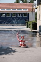 Bild: Rolandsfest am Samstag