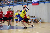Bild: Nordh&auml;user Nachwuchs siegt bei der Handball-Mini-WM