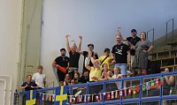 Bild: Nordh&auml;user Nachwuchs siegt bei der Handball-Mini-WM