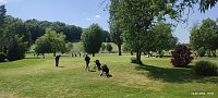 Bild: Zweiter Consulting Cup im Golfpark Neustadt
