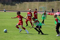 Bild: Die Junioren der FSG '99 Salza waren in Halle erfolgreich