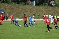 Bild: Die Junioren der FSG '99 Salza waren in Halle erfolgreich