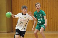 Bild: Ein ereignisreiches Handballjahr geht am Wochenende zu Ende