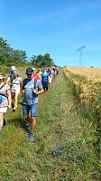 Bild: Daltus � Reisen war am H&uuml;nstein