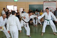 30 Jahre Karate-Do-Kwai Bild: 30 Jahre Karate-Do-Kwai