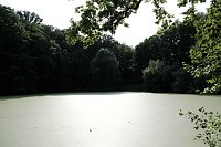 Bild: Am Wiesenteich