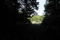 Bild: Am Wiesenteich