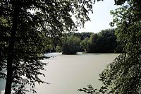 Bild: Am Wiesenteich