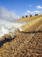 Bild: Feldbrand bei Klettenberg