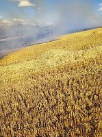 Bild: Feldbrand bei Klettenberg