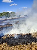 Bild: Feldbrand bei Klettenberg