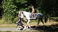 Bild: Der Vormittag des Parknicks geh&ouml;rte bereits den Familien