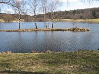 Spaziergang am Karfreitag Bild: Spaziergang am Karfreitag