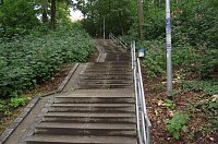 Bild: Gut gepflegte Gehegetreppe