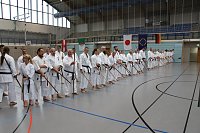 Bild: Internationales Karate-Training in der Wiedigsburg-Halle