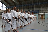 Bild: Internationales Karate-Training in der Wiedigsburg-Halle