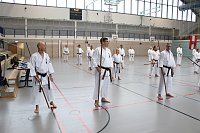 Bild: Internationales Karate-Training in der Wiedigsburg-Halle