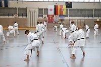 Bild: Internationales Karate-Training in der Wiedigsburg-Halle