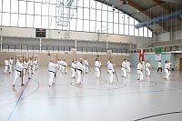 Bild: Internationales Karate-Training in der Wiedigsburg-Halle