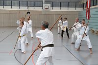Bild: Internationales Karate-Training in der Wiedigsburg-Halle