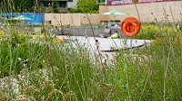 Stippvisite bei der Landesgartenschau in Bad Gandersheim Bild: Stippvisite bei der Landesgartenschau in Bad Gandersheim