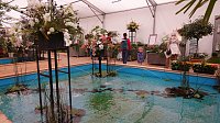 Stippvisite bei der Landesgartenschau in Bad Gandersheim Bild: Stippvisite bei der Landesgartenschau in Bad Gandersheim