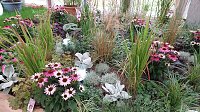 Stippvisite bei der Landesgartenschau in Bad Gandersheim Bild: Stippvisite bei der Landesgartenschau in Bad Gandersheim