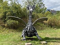 Drachen-Alarm am Sundhäuser Kiesteich Bild: Drachen-Alarm am Sundhäuser Kiesteich