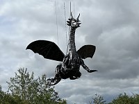 Drachen-Alarm am Sundhäuser Kiesteich Bild: Drachen-Alarm am Sundhäuser Kiesteich