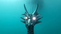 Drachen-Alarm am Sundhäuser Kiesteich Bild: Drachen-Alarm am Sundhäuser Kiesteich