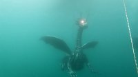 Drachen-Alarm am Sundhäuser Kiesteich Bild: Drachen-Alarm am Sundhäuser Kiesteich