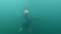 Drachen-Alarm am Sundhäuser Kiesteich Bild: Drachen-Alarm am Sundhäuser Kiesteich
