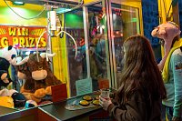 Das Altstadtfest am Samstag Bild: Das Altstadtfest am Samstag