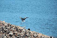 Bild: Peter Blei unterwegs im Vogelparadies