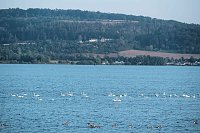 Bild: Peter Blei unterwegs im Vogelparadies