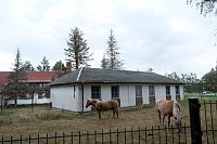 Unterwegs zum Hufhaus Bild: Unterwegs zum Hufhaus