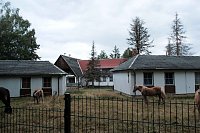 Unterwegs zum Hufhaus Bild: Unterwegs zum Hufhaus