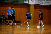 Lübbecke gegen den HC Elbflorenz in der Ballspielhalle Nordhausen Bild: Lübbecke gegen den HC Elbflorenz in der Ballspielhalle Nordhausen