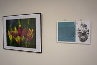 Kunstausstellung im Haus Geborgenheit Bild: Kunstausstellung im Haus Geborgenheit