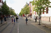 17. Nordhäuser City-Lauf Bild: 17. Nordhäuser City-Lauf