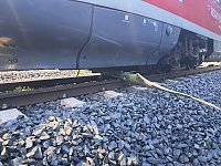 Bahn kollidiert mit Ästen Bild: Bahn kollidiert mit Ästen