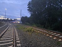Bahn kollidiert mit Ästen Bild: Bahn kollidiert mit Ästen