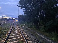 Bahn kollidiert mit Ästen Bild: Bahn kollidiert mit Ästen
