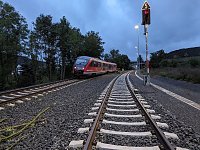 Bahn kollidiert mit Ästen Bild: Bahn kollidiert mit Ästen