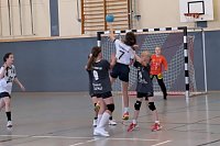 Bild: Ein fast perfektes Handballwochenende