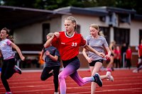 Leichtathletik-Jugend trainiert für Olympia Bild: Leichtathletik-Jugend trainiert für Olympia